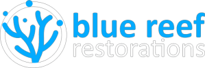 blue reef restorations